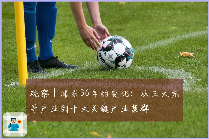 观察｜浦东36年的变化：从三大先导产业到十大关键产业集群